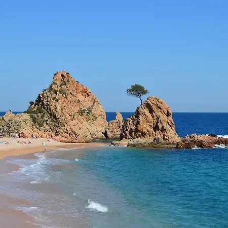 Lejlighed En Cala Salions